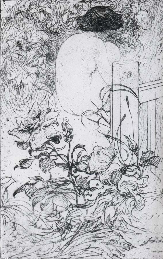 Carl Larsson A Rose and a Back Etching